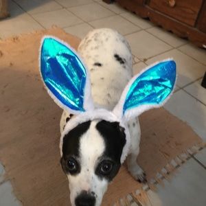 Meet your Posher, Deborah